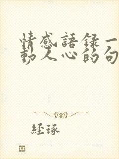 情感语录一句打动人心的句子