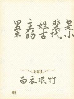 男主姓裴是个将军的古代小说