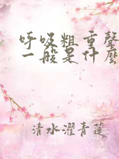 呼吸粗重声音大一般是什么病