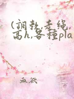 (调教,走绳,高h,各种play,)双男小说