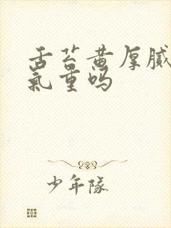 舌苔黄厚腻是湿气重吗