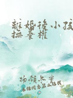 离婚后小孩归谁抚养权