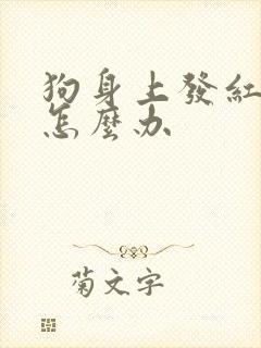 狗身上发红发痒怎么办