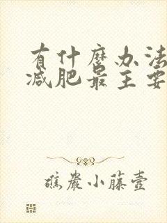 有什么办法可以减肥最主要是减肚子