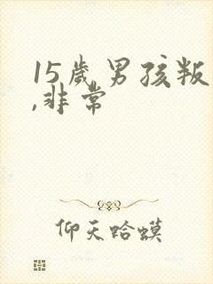 15岁男孩叛逆,非常