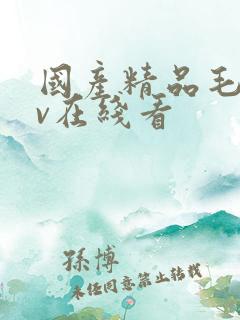 国产精品毛片av在线看