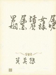 男属猪女属鸡婚姻怎么样呢