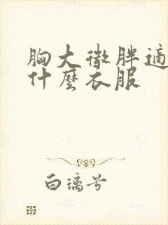 胸大微胖适合穿什么衣服