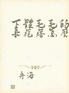 下体毛毛的地方长疙瘩怎么回事