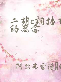 二胡c调挡不住的思念
