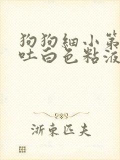 狗狗细小第四天吐白色粘液