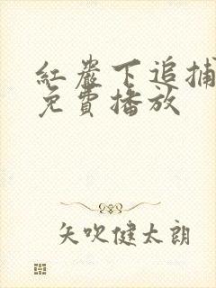 红岩下追捕全集免费播放