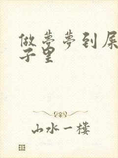 做梦梦到屎拉裤子里