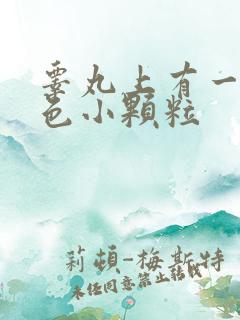 睾丸上有一颗白色小颗粒