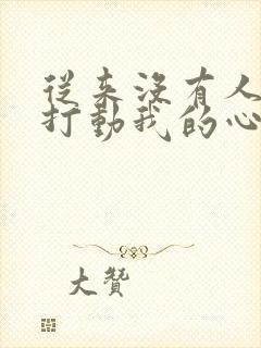 从来没有人如此打动我的心歌词