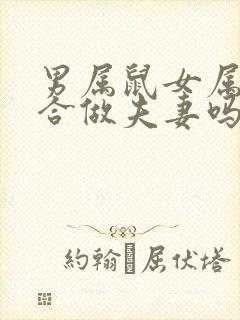 男属鼠女属蛇适合做夫妻吗