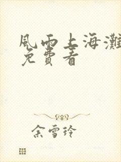 风雨上海滩全集免费看