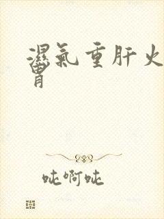 湿气重肝火旺脾胃