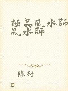 极品风水师极品风水师