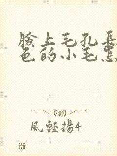 脸上毛孔长出黑色的小毛怎么办