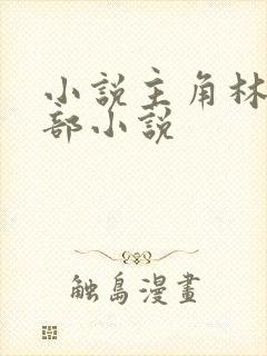 小说主角林凡全部小说