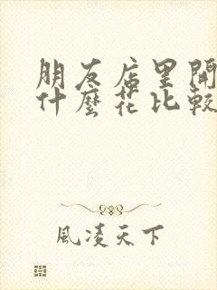 朋友店里开业送什么花比较好