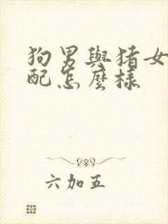 狗男与猪女的婚配怎么样