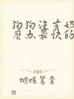 狗狗没有奶水怎么办最快的办法