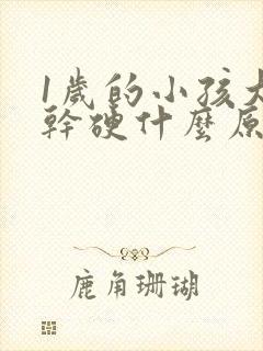 1岁的小孩大便干硬什么原因