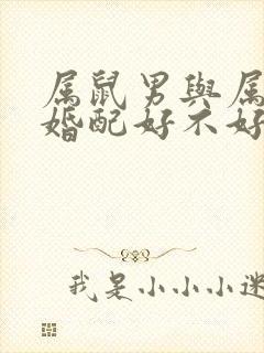 属鼠男与属鼠女婚配好不好