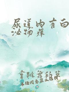 尿道内有白色分泌物痒