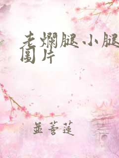 老烂腿小腿溃烂图片