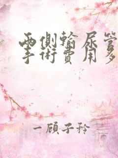 两侧输尿管结石手术费用多少钱