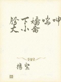 胯下娇喘呻吟的大小乔