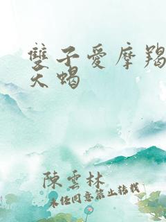 双子爱摩羯还是天蝎