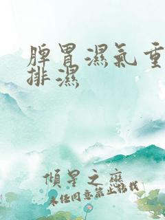 脾胃湿气重如何排湿