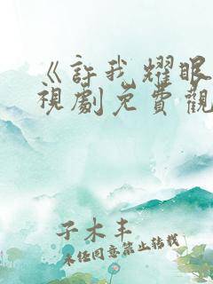 《许我耀眼》电视剧免费观看全集