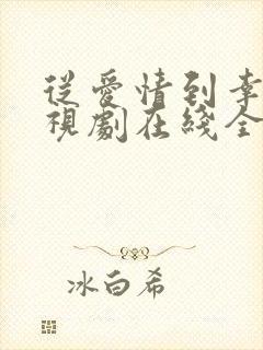 从爱情到幸福电视剧在线全集