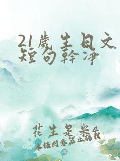 21岁生日文案短句干净