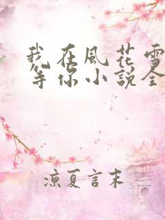 我在风花雪月里等你小说全文