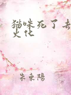 猫咪死了去哪里火化