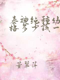 泰迪纯种幼犬价格多少钱一只