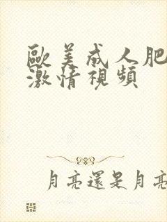 欧美成人肥熟妇激情视频