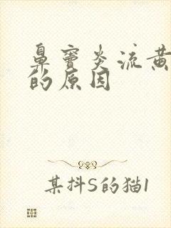 鼻窦炎流黄鼻涕的原因