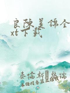 良陈美锦全本txt下载