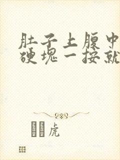 肚子上腹中间有硬块一按就疼