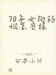 70年女狗的婚姻怎么样