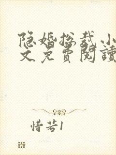 隐婚总裁小说全文免费阅读