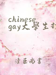chinesegay大学生打飞机