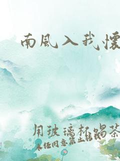 南风入我怀阅读